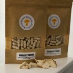 Lion’s Maine Mushroom Capsules